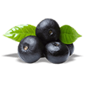  Black plum